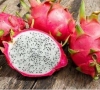 Pitaya/pitaia